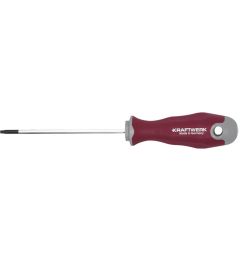 Tournevis-Torx-T10