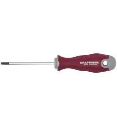 Tournevis-Torx-T25