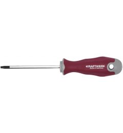 Tournevis-Torx-T20