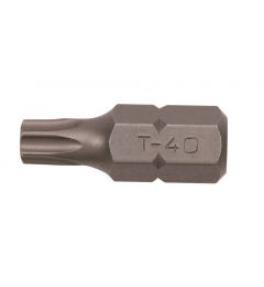 Embout-Torx-10-mm-T-25